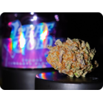 pitaya thca achat thca shop thca , thca france , comprar thca , thca europe , orange pop thca