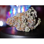 pink rosay thca