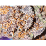 pink rosay thca france