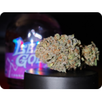 georgia pîe thca