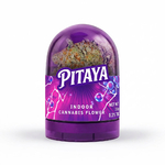 pitaya THCA - THCA FRANCE - THCA EUROPE - SHOP THCA - thca paris - thc a marseille - achat cannabis