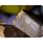 thca france thca spain thca italia thca europe gaz hash thca - shop thca - thca france - thca europe - achat thca - resine thca
