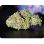 LEAF GOLD THCA PARIS THCA MARSEILLE THCA TOULOUSE THCA PERPIGNAN THCA MULHOUSE THCA BELGIQUE THCA SPAIN THCA ITALIA THCA USA LEAF GOLD