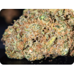 THCA PARIS THCA MARSEILLE THCA TOULOUSE THCA PERPIGNAN THCA MULHOUSE THCA BELGIQUE THCA SPAIN THCA ITALIA THCA USA LEAF GOLD ACHAT THCA FRANCE