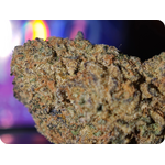 thca france thca europe thca delivery europe shop thca leaf gold thca gary payton thca