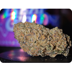 THCA FRANCE thca france thca europe thca delivery europe shop thca leaf gold thca gary payton thca