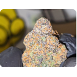 achat thca , shop thca,  thca france , monet bagg runtz thca , thca californie , jungle dream thca , leaf gold thca , fleurs thca  , power thca