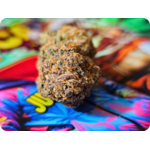 achat thca , thca france , monet bagg runtz thca , thca californie , jungle dream thca , achat thca leaf gold