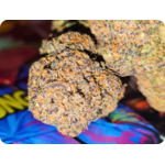 achat thca , thca france , monet bagg runtz thca , thca californie , jungle dream thca , leaf gold thca , fleurs thca  , power thca