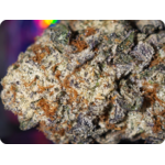 hashburger thca , achat thca , shop thca , thca delivery europe , thca usa , leaf gold thca , best thca leaf gold