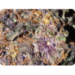 shop thca france achat thca