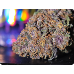 purple punch thca