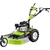GRILLO-CL-62-M-zoom