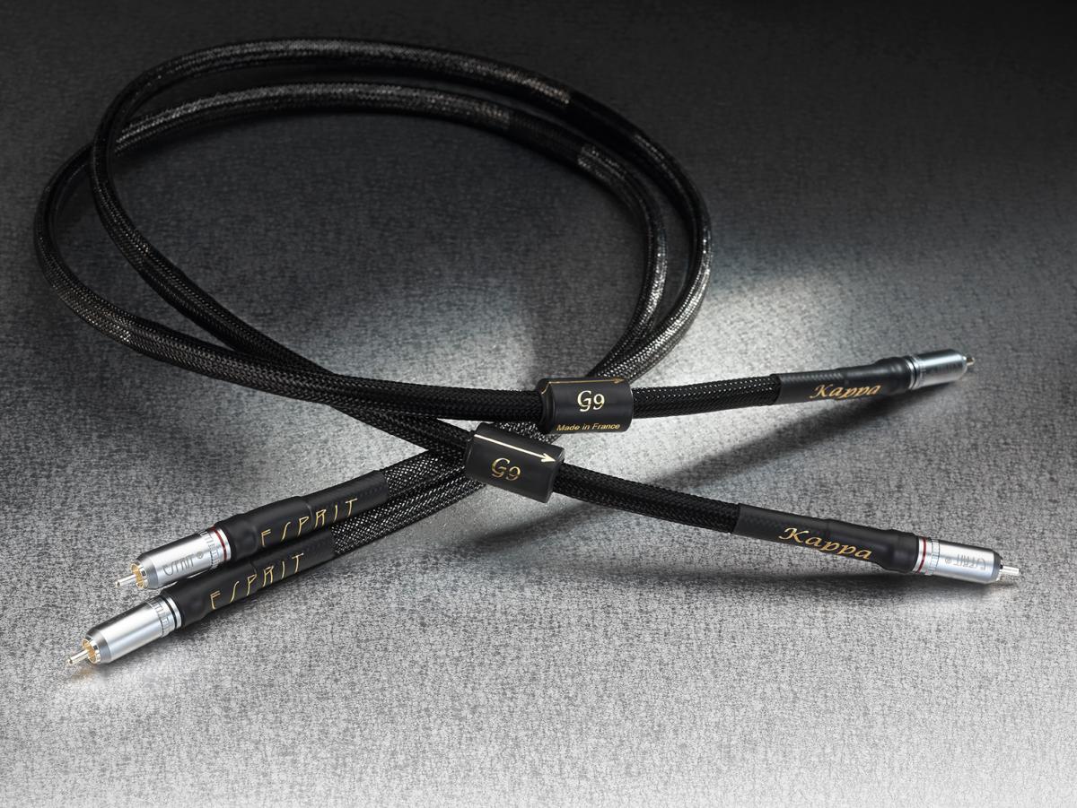 Esprit Kappa G9 - Câble Modulation RCA