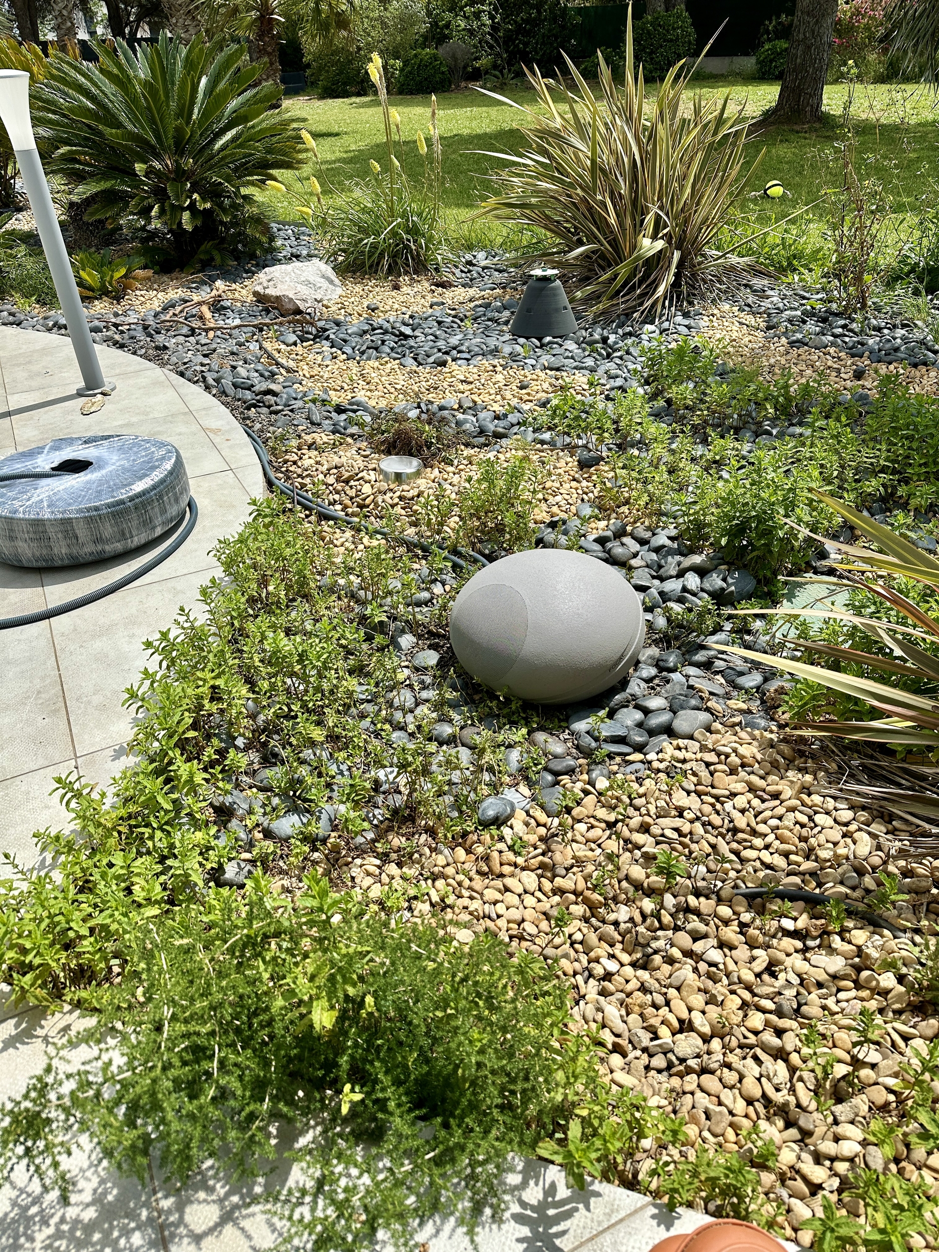 Pack Jardin n°1   Focal - Naim Uniti serie - coup de coeur AVP 30th
