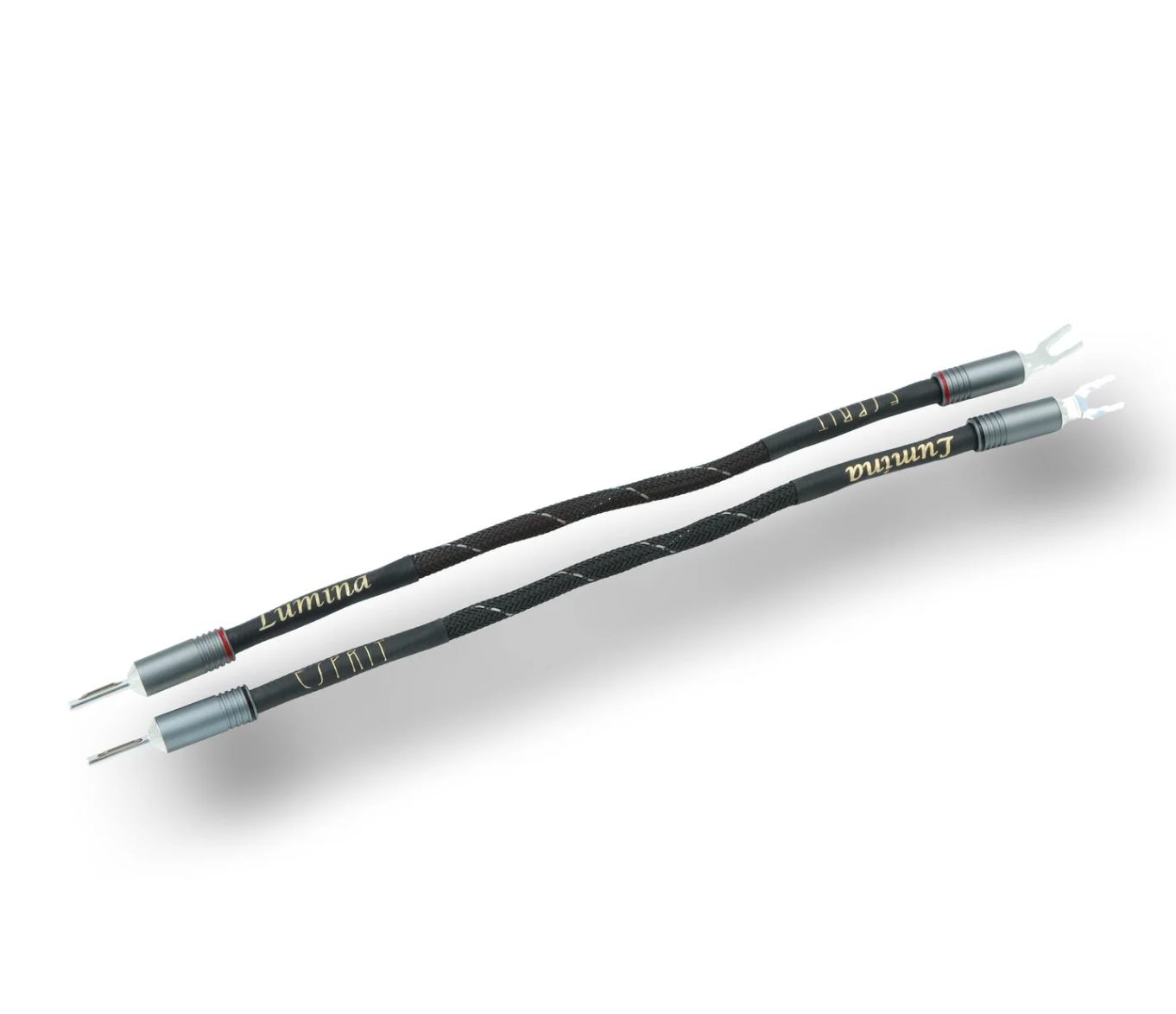 Esprit GX - Lumina - Strap 0,3m