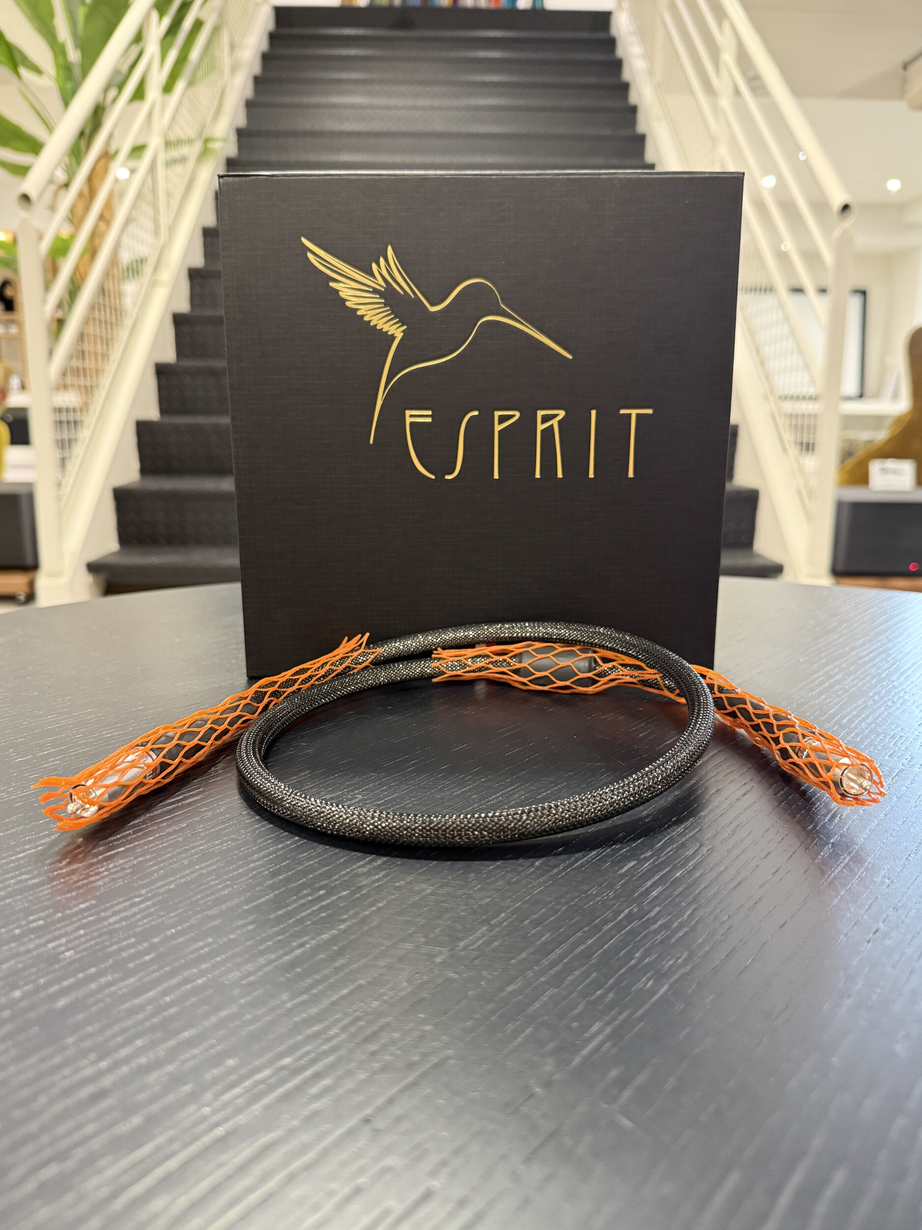 Esprit Kappa G9 Coaxial 75 Ω – 1 m – Excellent état