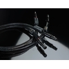EUREKA-XLR-zoom