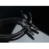 LUMINA-XLR-zoom