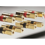 Capture-d-e-cran-2024-02-17-a-11-41-58-zoom