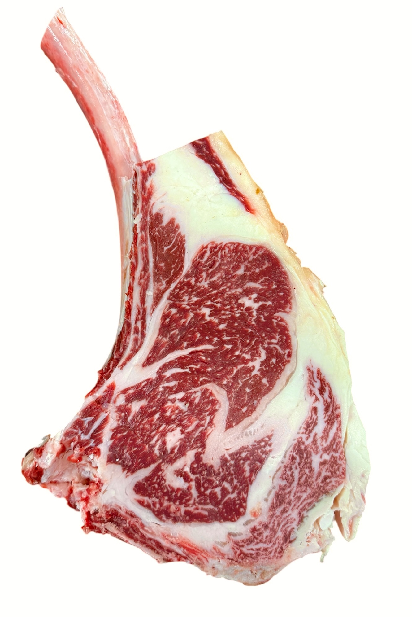 CÔTE DE BOEUF WAGYU FRANÇAIS 1,650kg