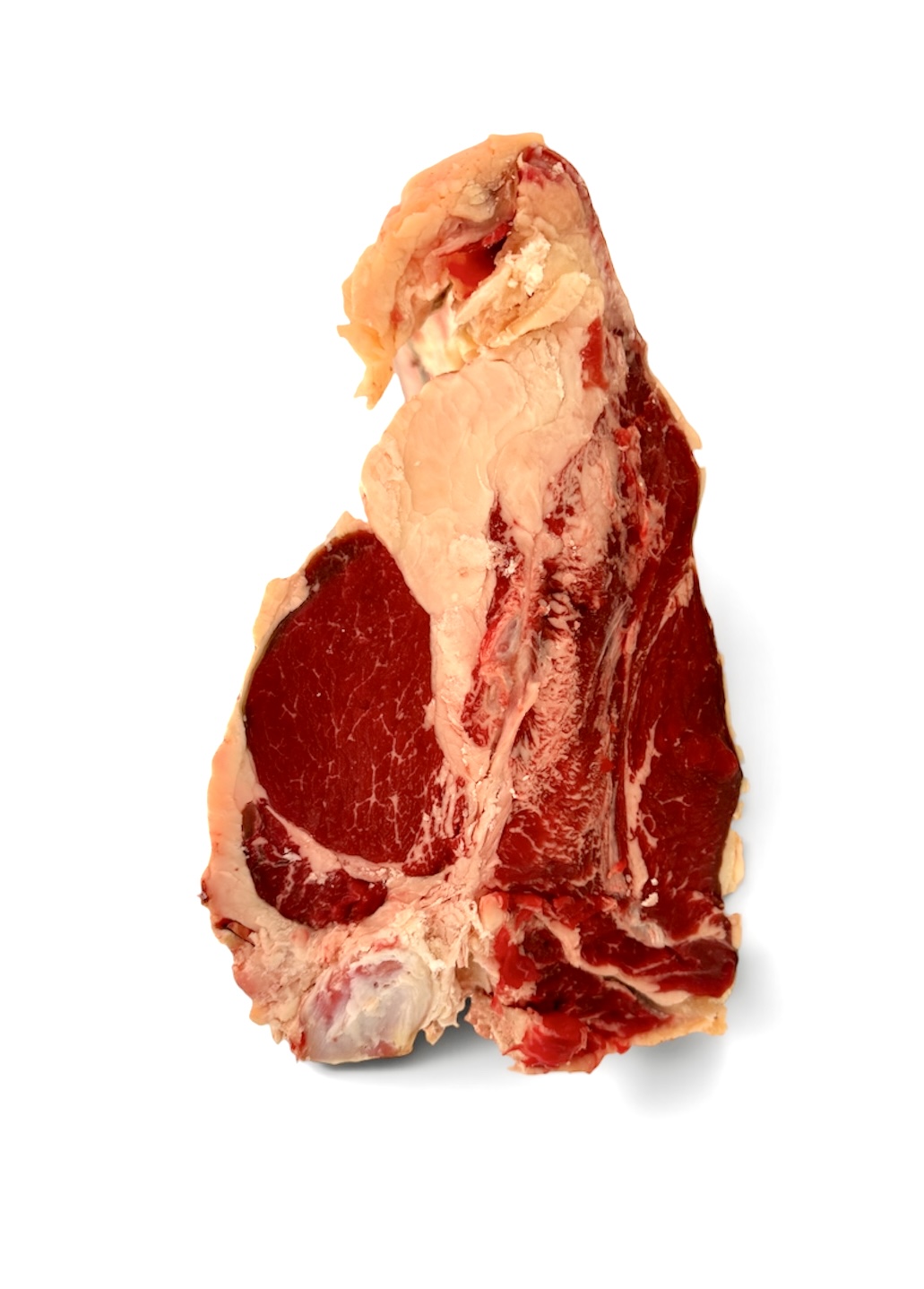T-BONE HEREFORD