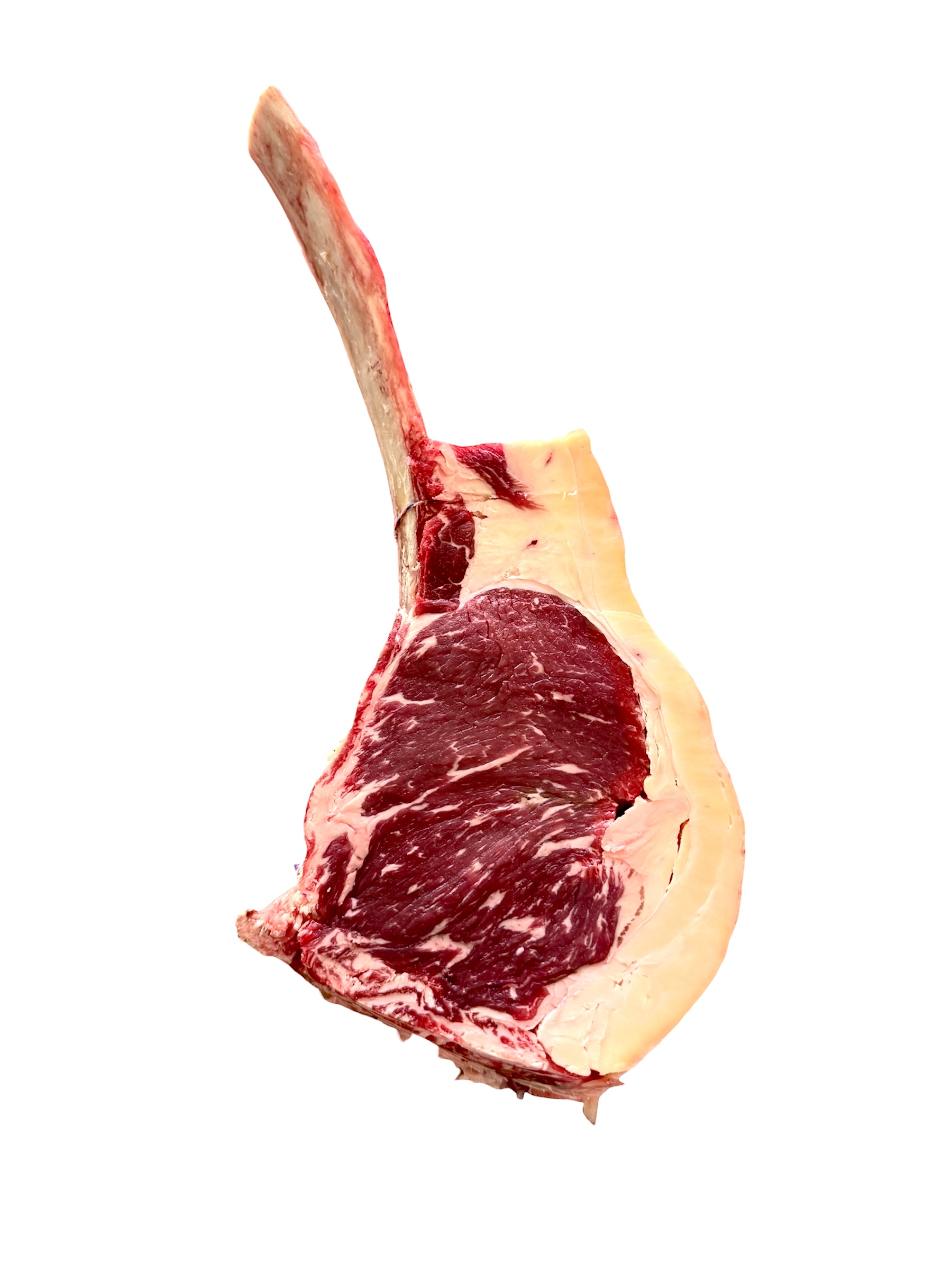 CÔTE DE BOEUF SALERS 5 SEMAINES