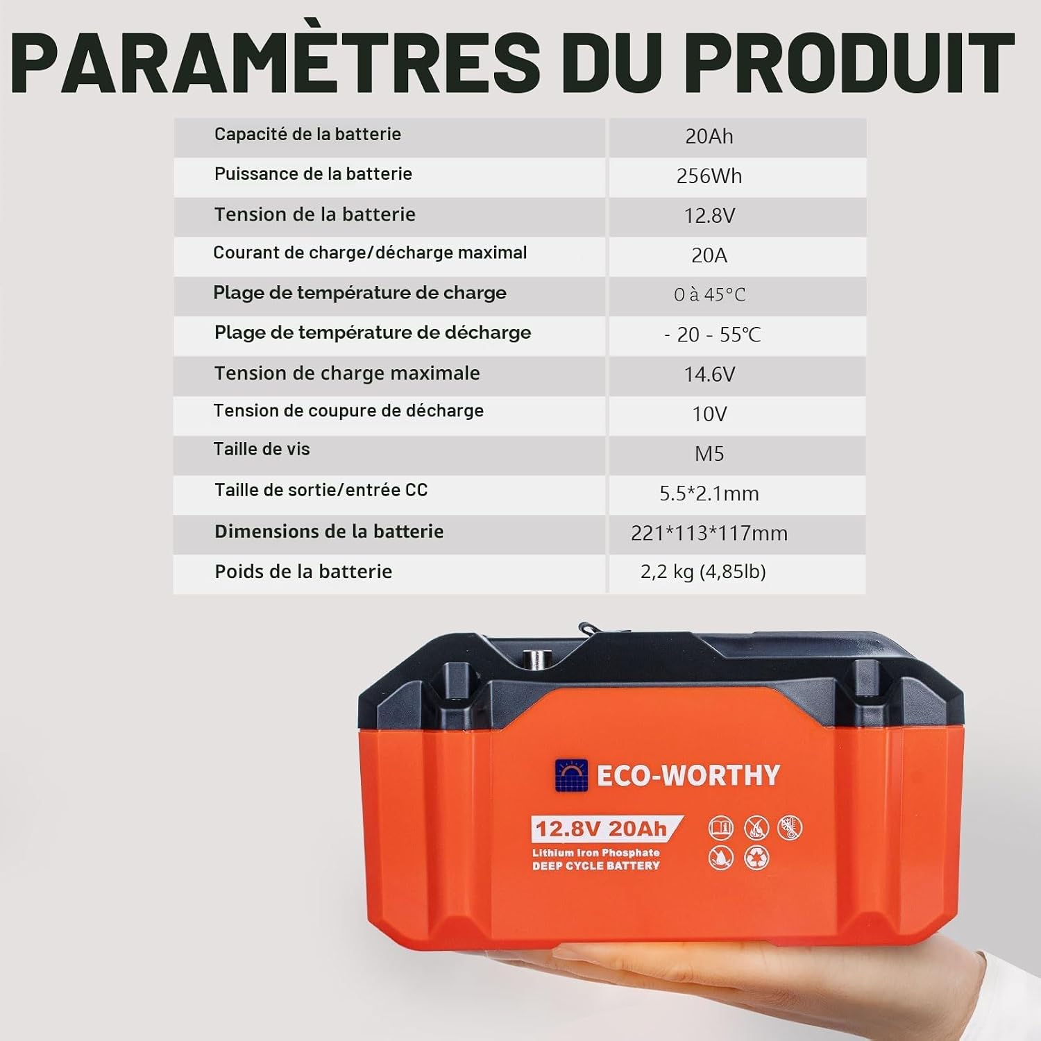 Batterie lithium LiFePO4 12 V 20 Ah pour moteur de traîne, photo 6