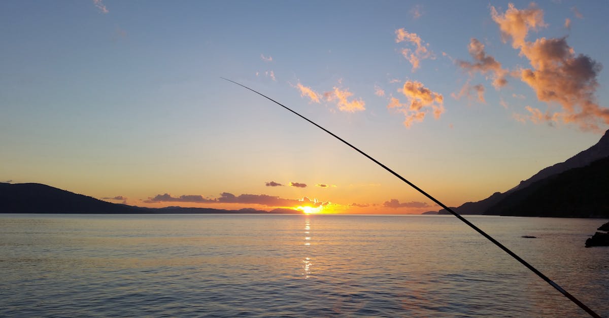 canne a peche pres du plan d eau au coucher du soleil