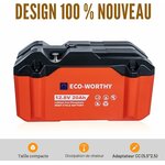 Batterie lithium LiFePO4 12 V 20 Ah pour moteur de traîne, photo 2