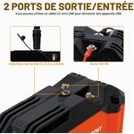 Batterie lithium LiFePO4 12 V 20 Ah pour moteur de traîne, photo 5