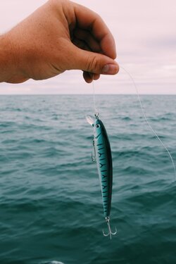 Canne à Pêche Blanche Et Bleue