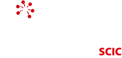 Pirotek