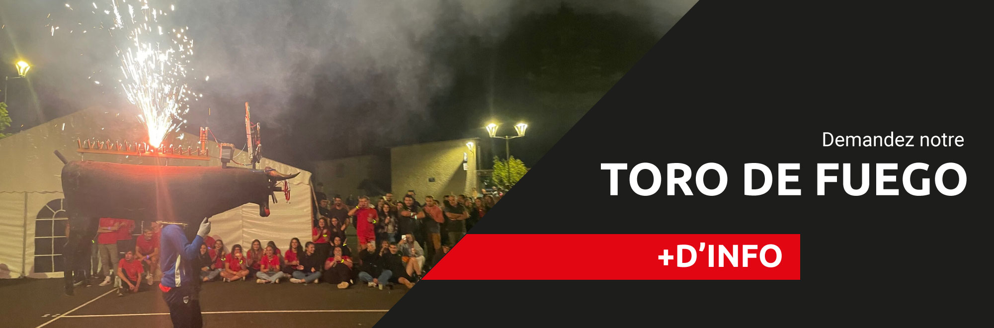Toro de Fuego