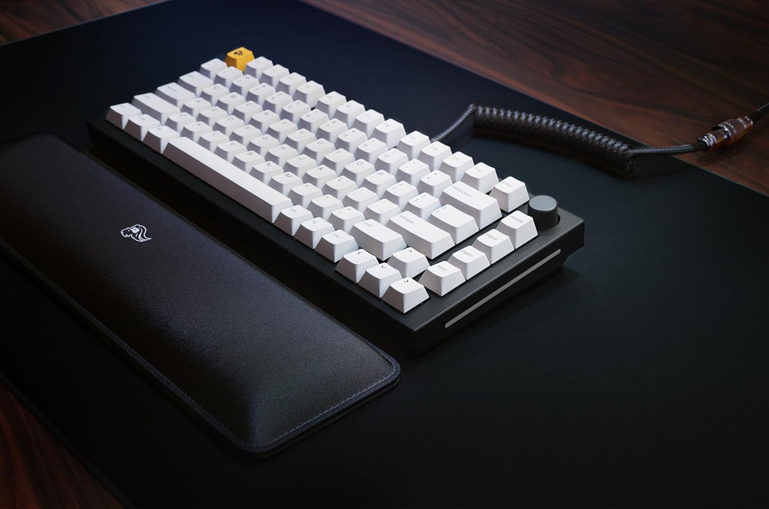 71VJectaxpL._AC_SL1500_