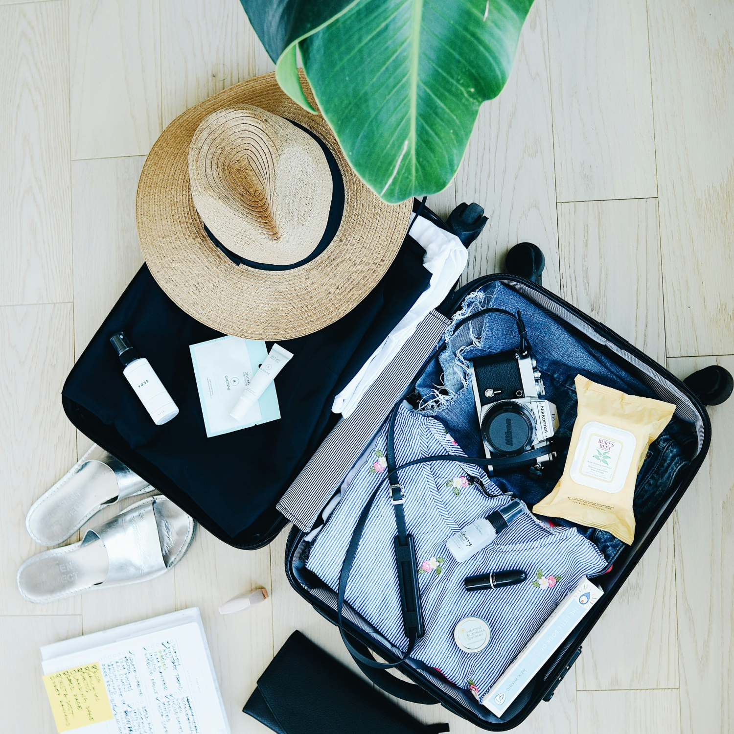 valise