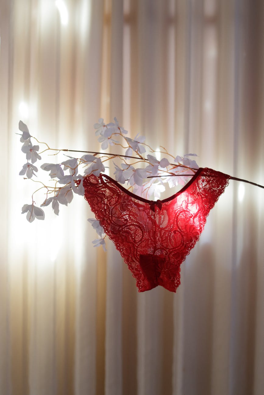 photos gratuites de a l interieur accessoire de mode artistique