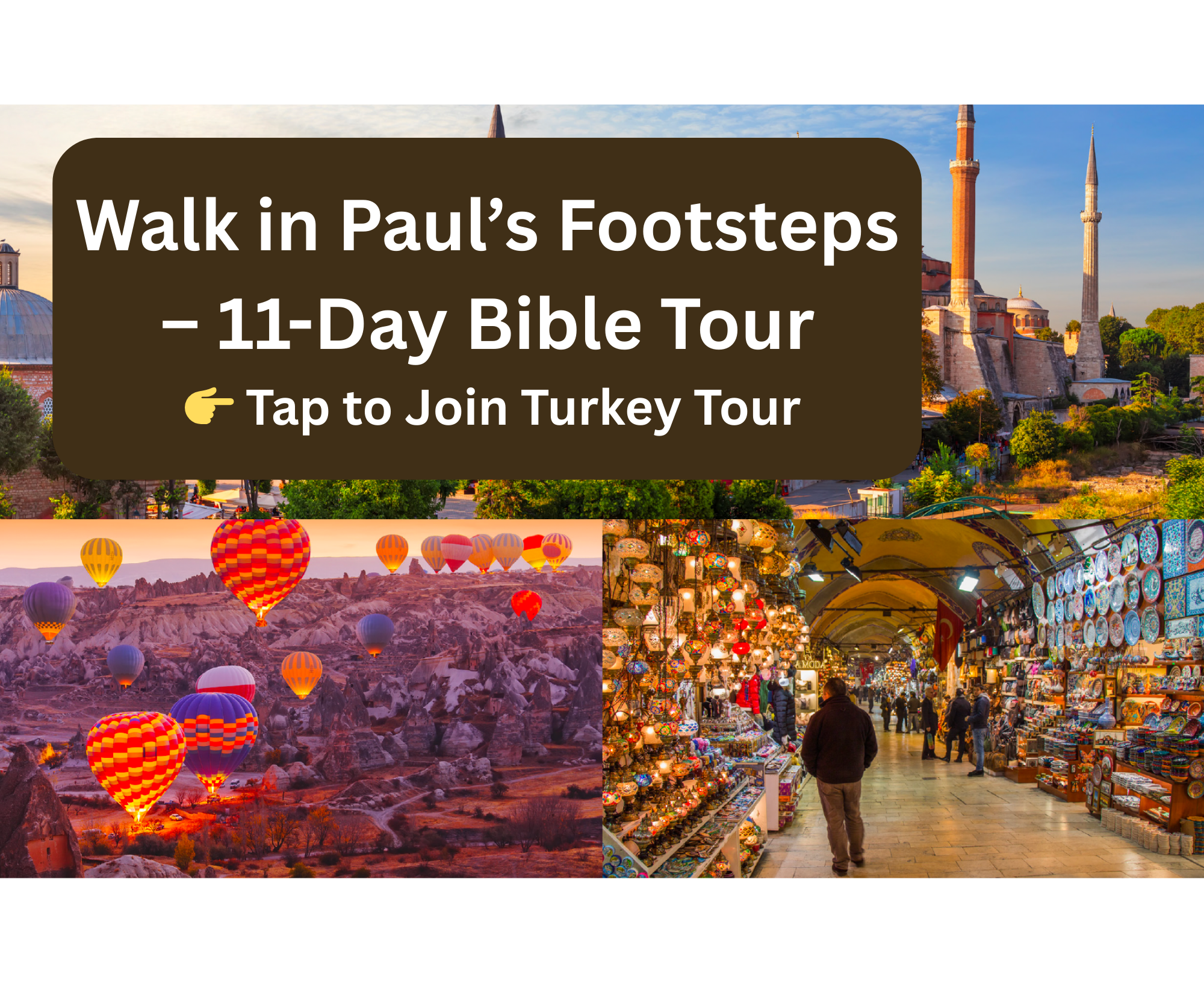 bible-tour