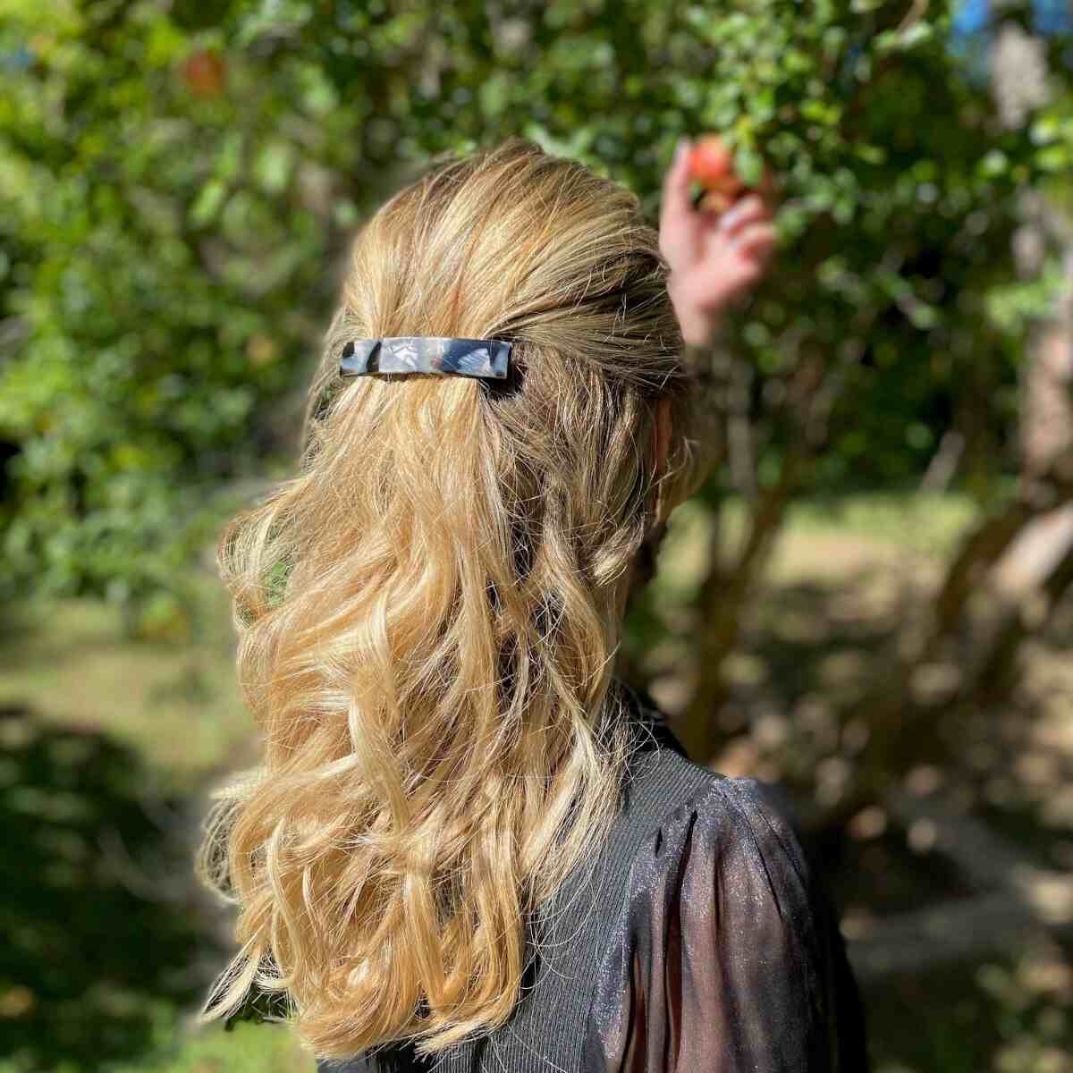 Barrette à cheveux Carla Corne Argentée