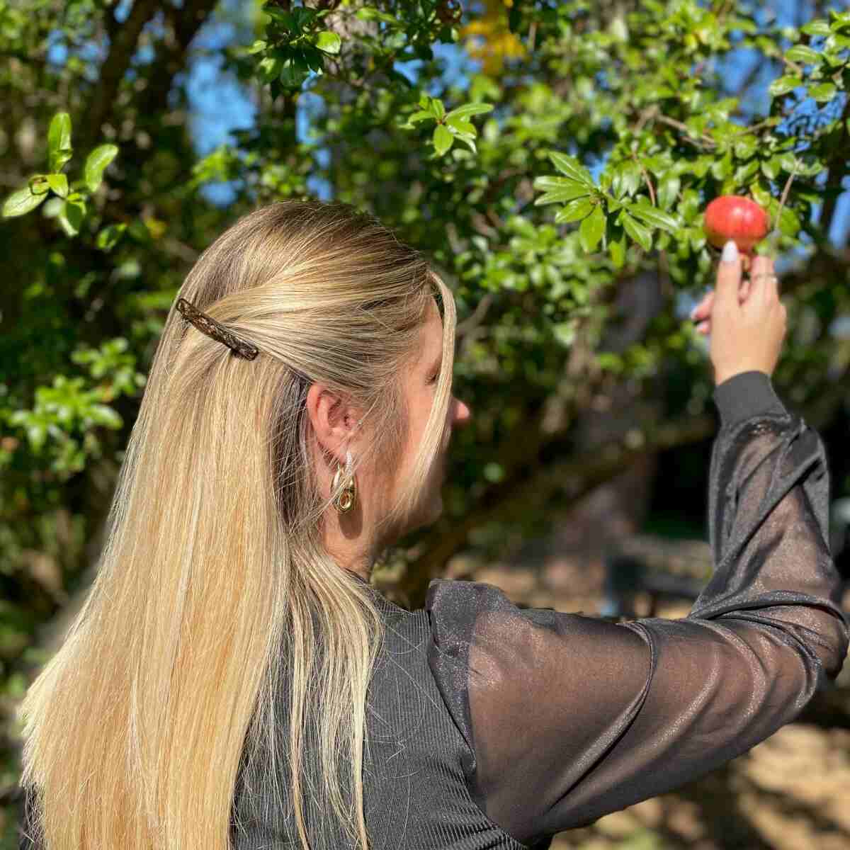 barrette cheveux jeanne grès 5