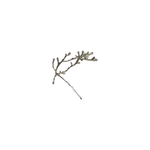 barrette à cheveux océane branche argenté et perle blanche 4-Photoroom