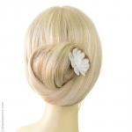 pic chignon fleur