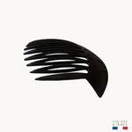 grand-peigne-noir-Photoroom