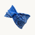 bandeau-large-bleu-noir-blanc-3-Photoroom