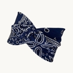 bandeau-large-bleu-marine-blanc-Photoroom