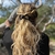 barrette cheveux alexia noir 5