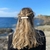 barrette cheveux rosalie alba 5