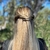barrette à cheveux alice bombée onyx 5
