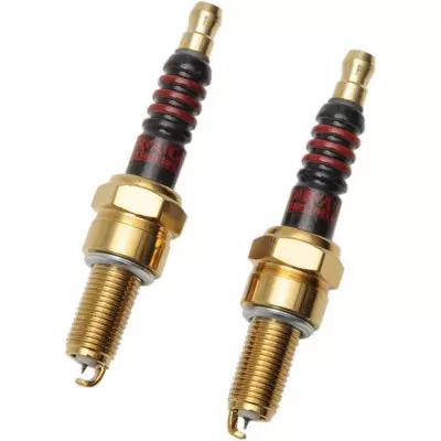 bougies-iridium-type-rg6hcc-milwaukee-eight-street-xg (1)