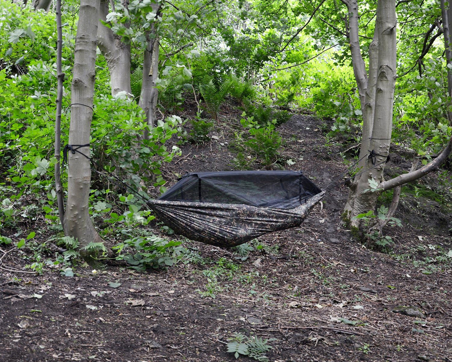 DD Frontline Hammock MC – set up between trees in woodland environment